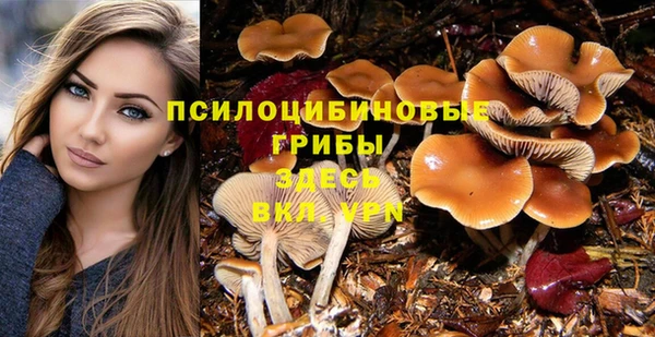 соль курить ск Лиски