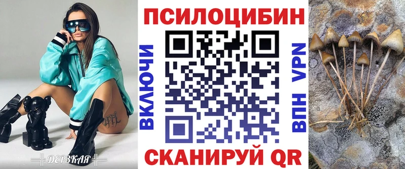 Купить где  Новоалтайск  Галлюциногенные грибы прущие грибы 
